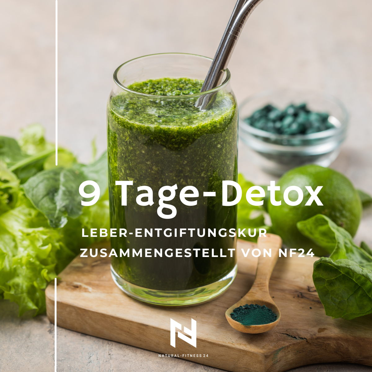 ebook detox