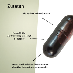 NF24 Astaxanthin 8mg Kapseln Natürliches ohne Zusatzstoffe