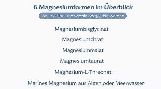 6 Magnesiumformen im Überblick – Magnesiumbisglycinat, Magnesiumcitrat, Magnesiummalat, Magnesiumtaurat, Magnesium-L-Threonat und marines Magnesium aus Algen oder Meerwasser