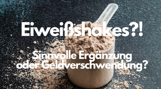 eiweissshakes sinnvoll oder sinnlos