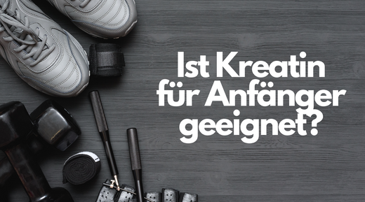 creatin für anfänger geeignet