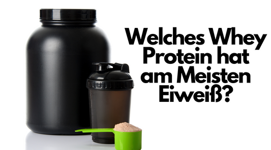 welches whey protein hat am meisten eiweiss hohen eiweissanteil
