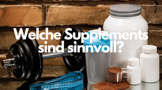 WELCHE SUPPLEMENTS SIND SINNVOLL?