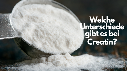 kreatin formen unterschiede creatin-arten