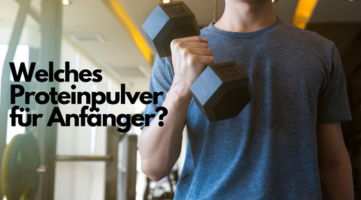 welches proteinpulver für anfänger