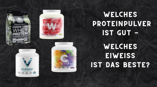Welches Proteinpulver ist gut das beste eiweiss