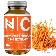 Cordyceps Extrakt Kapseln - 500mg pro Kapsel