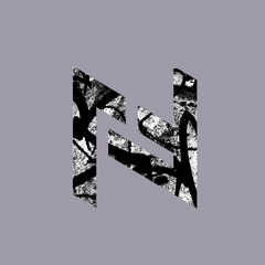 NF24 Softstyle Unisex Kapuzenpullover