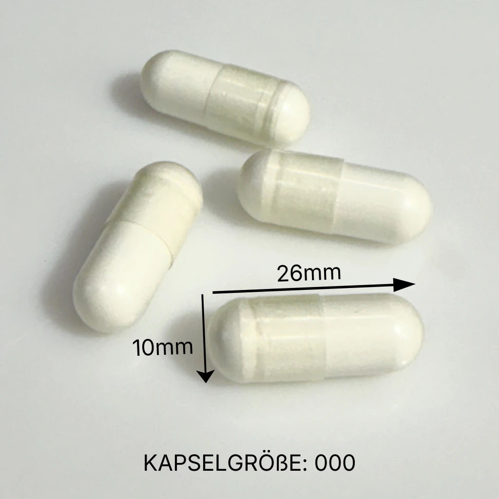 NF24 Kapseln