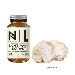 Lion's Mane Extrakt Kapseln - 500mg pro Kapsel