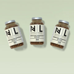 Lionsmane Extrakt Kapseln vegan von NF24 auch Hericium erinaceus genannt