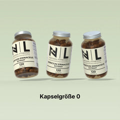  Hericium erinaceus Extrakt Kapseln vegan von NF24 120 Caps