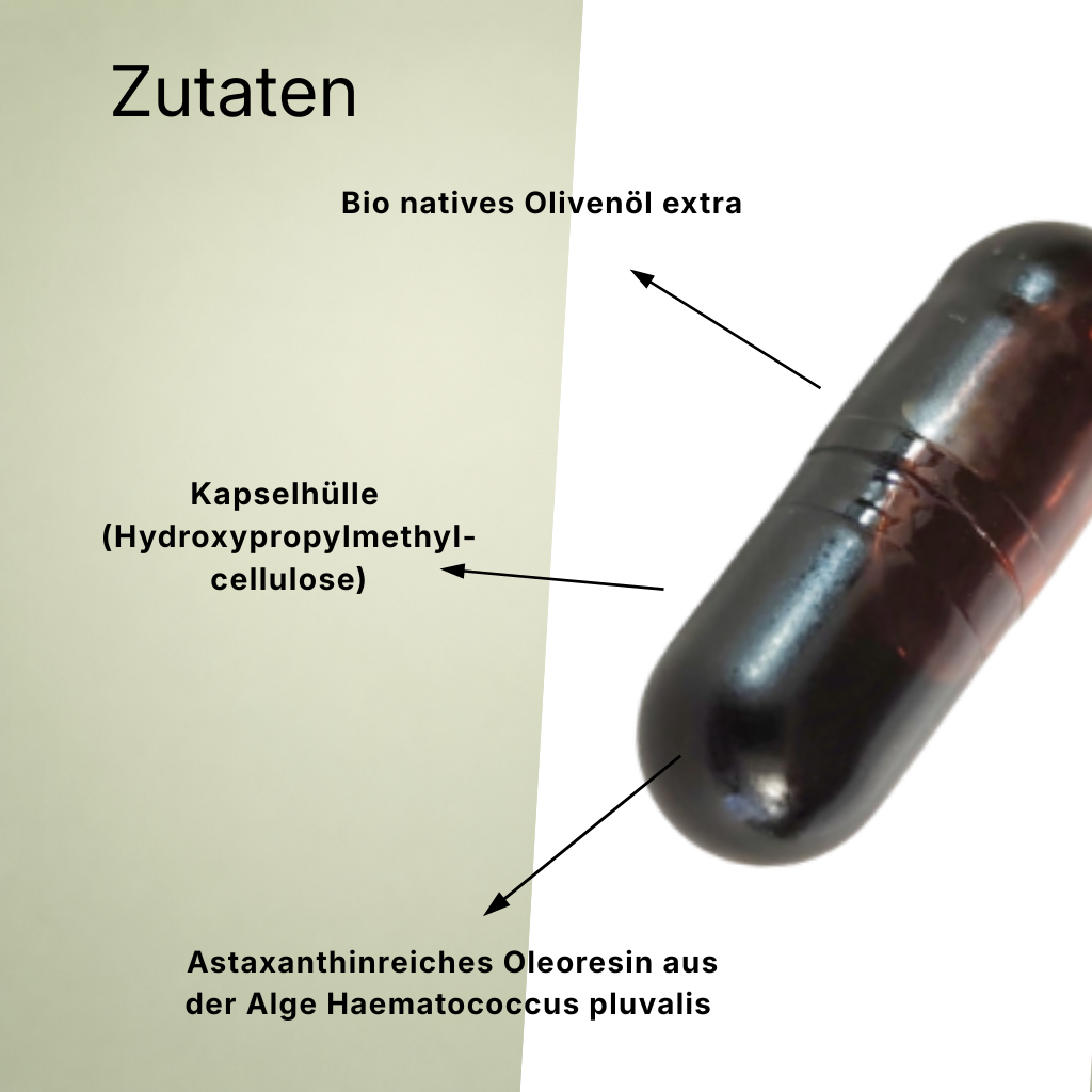 NF24 Astaxanthin 8mg Kapseln Natürliches ohne Zusatzstoffe