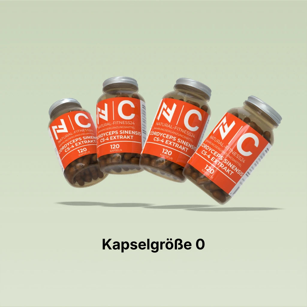 Cordyceps Extrakt Kapseln von Natural-Fitness24 Größe 0