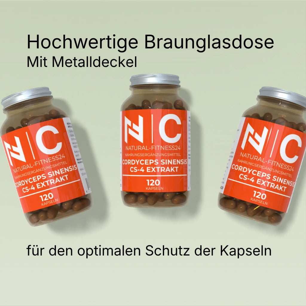 Cordyceps Extrakt Kapseln von Natural-Fitness24 in der Braunglasdose mit Metalldeckel