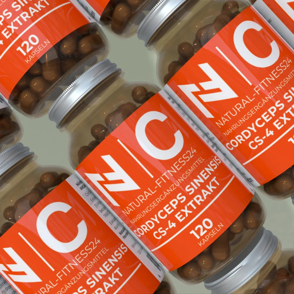 Cordyceps Extrakt Kapseln von Natural-Fitness24 für 120 Tage