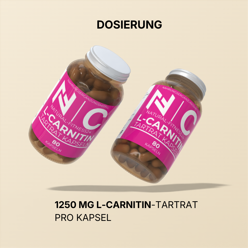 NF24 L-Carnitin Tartrat 80 Caps Dosierung