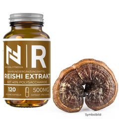Reishi Extrakt 120 Kapseln - 500mg pro Kapsel