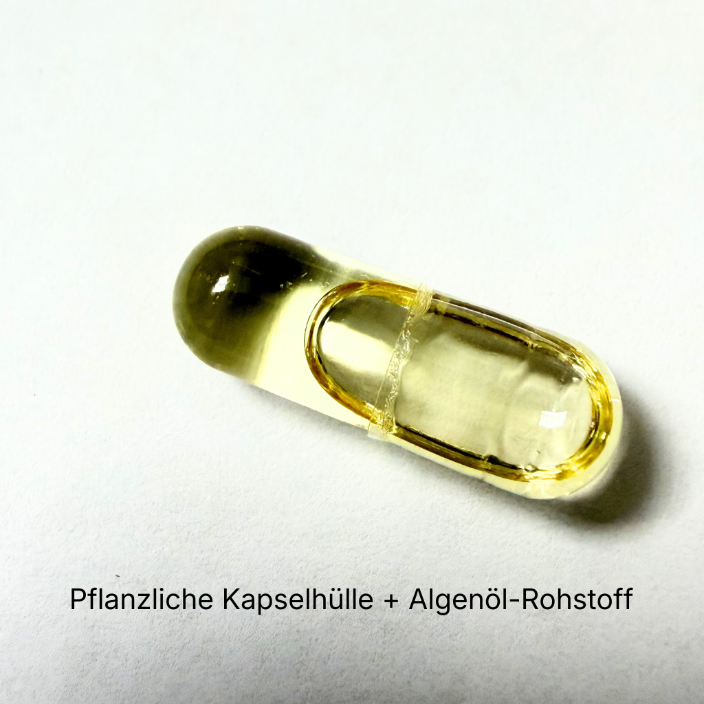 Vegane Omega 3 Algenöl Kapseln EPA DHA 160Kapseln Wie sieht die Kapsel aus