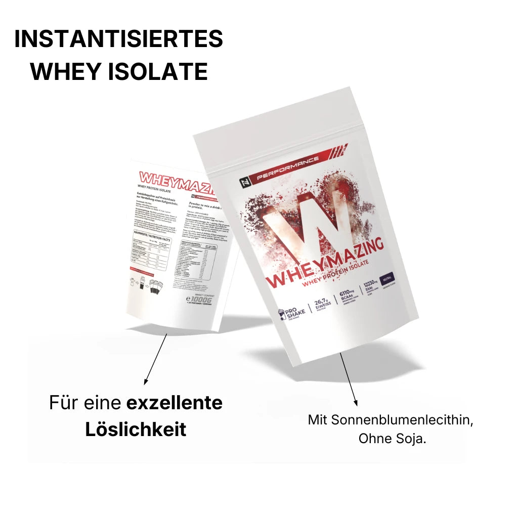 Instantisiertes Whey Protein Isolate mit Sonnenblumenlecithin für exzellente klumpenfreie Löslichkeit